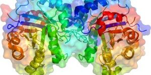 TPI1_structure-300×189 (2)