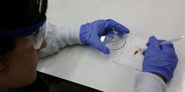 aroa-pache-legarreta