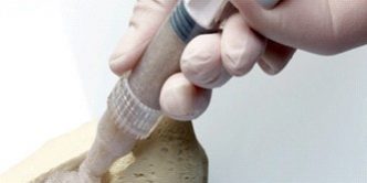 biomateriales-huesos-y-piedras