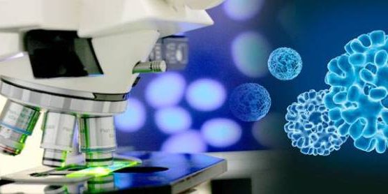 nanotecnologc3ada-y-liposomas